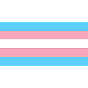 transgender flag