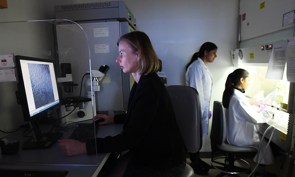 Ula Jurkunas with researchers in lab